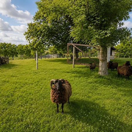 Ferme Renovee - Calme & Nature Dans Le Quercy Σπίτι διακοπών Durfort-Lacapelette