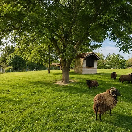 Σπίτι διακοπών Ferme Renovee - Calme & Nature Dans Le Quercy